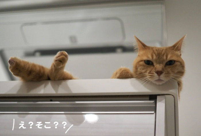 21日ブログ2