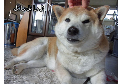 6日ブログ5.jpg