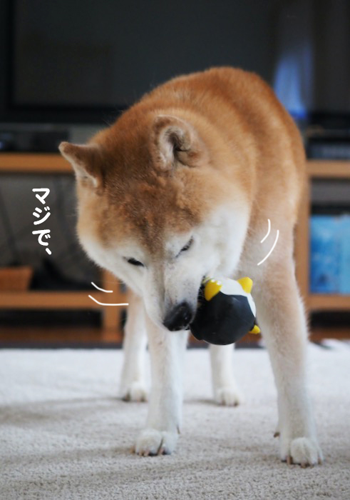 8日夕ブログ６