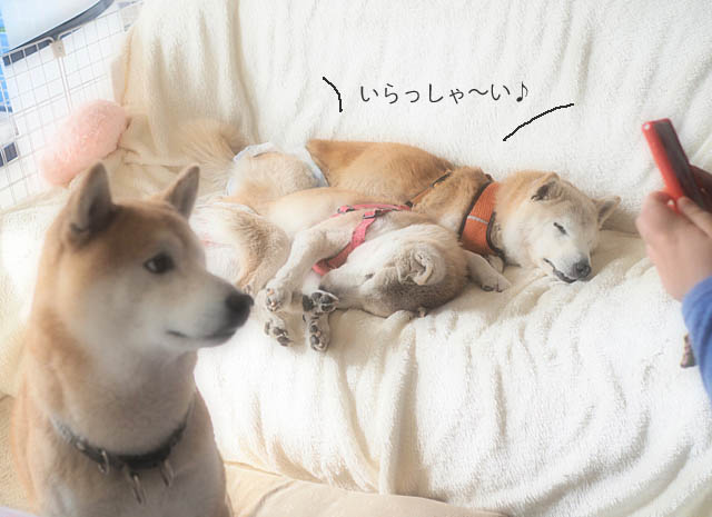 20日ブログ6