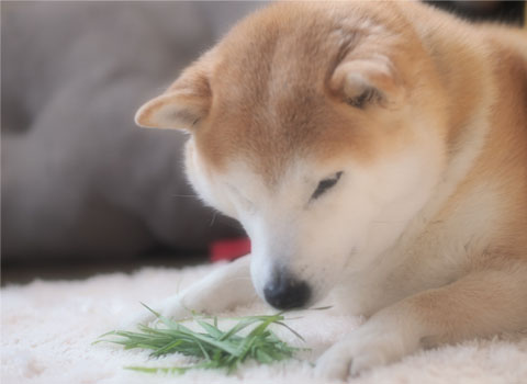 28日ブログ2.jpg
