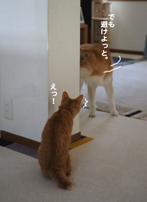 7日ブログ4
