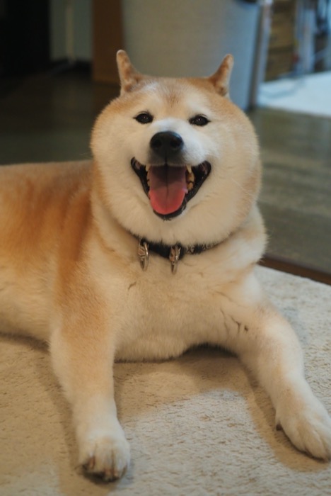 28日ブログ１