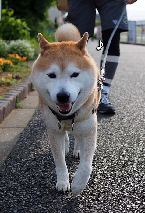 28日午後ブログ４