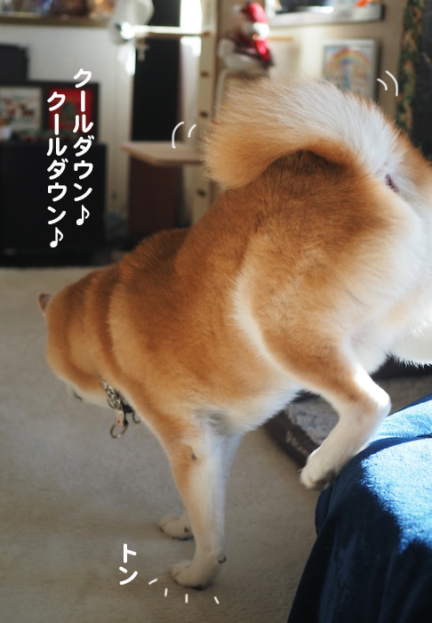 21日ブログ７