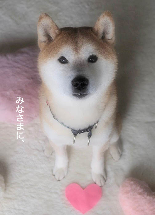 14日ブログ２