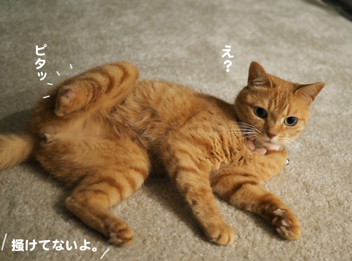 18日夕ブログ４