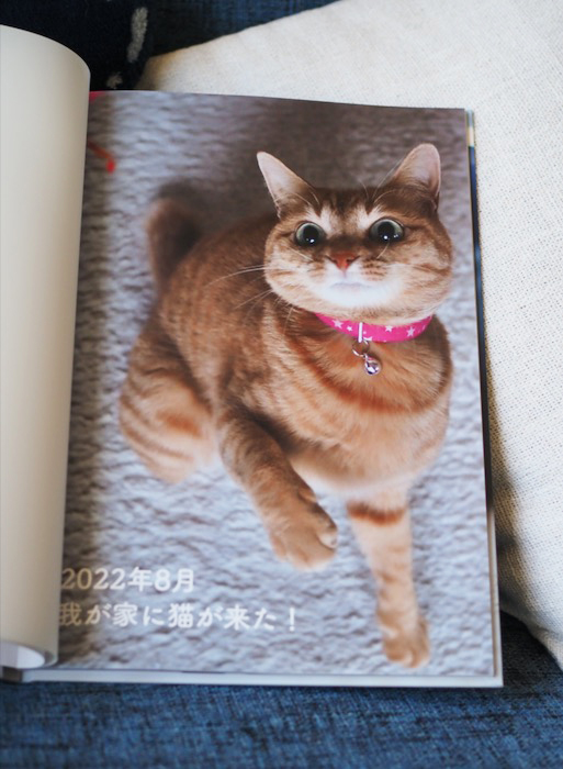 22日夕ブログ７