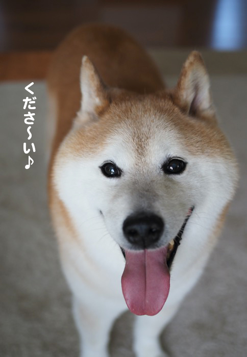 14日夕ブログ２