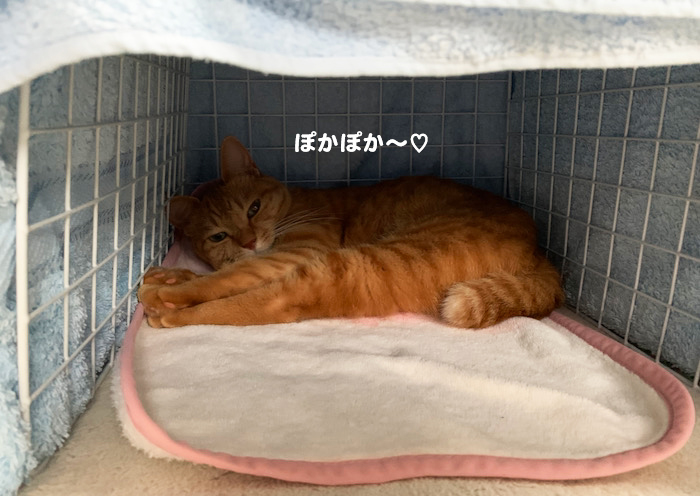 7日ブログ４
