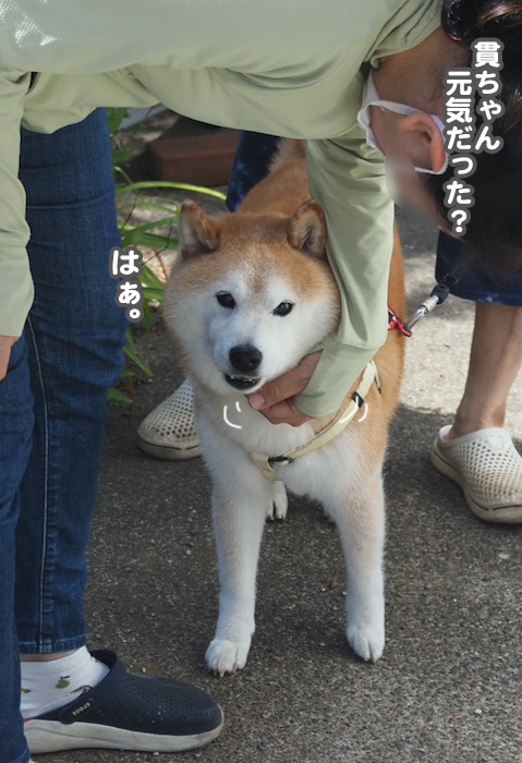 4日夕ブログ９