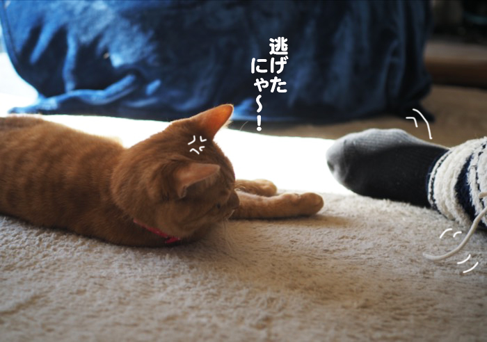 9日夜ブログ１１
