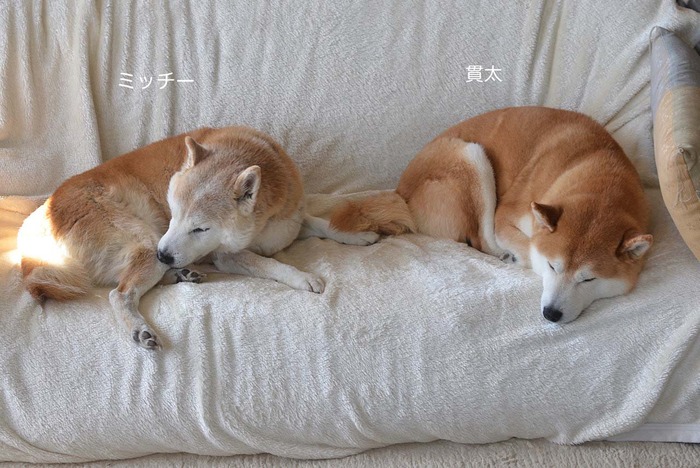 3日ブログ2