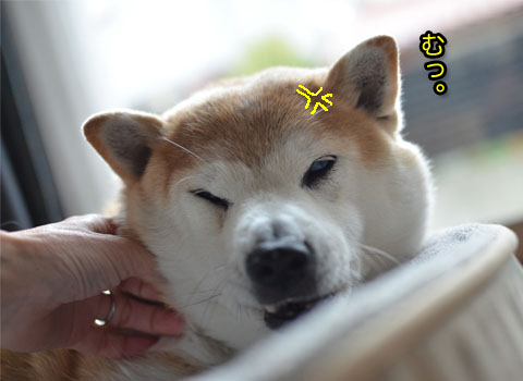 29日ブログ14.jpg