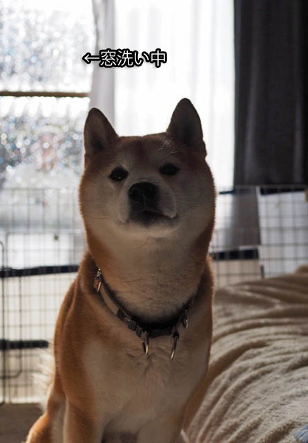 30日夜ブログ２