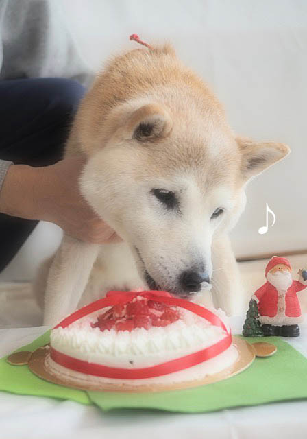 25日ブログ2
