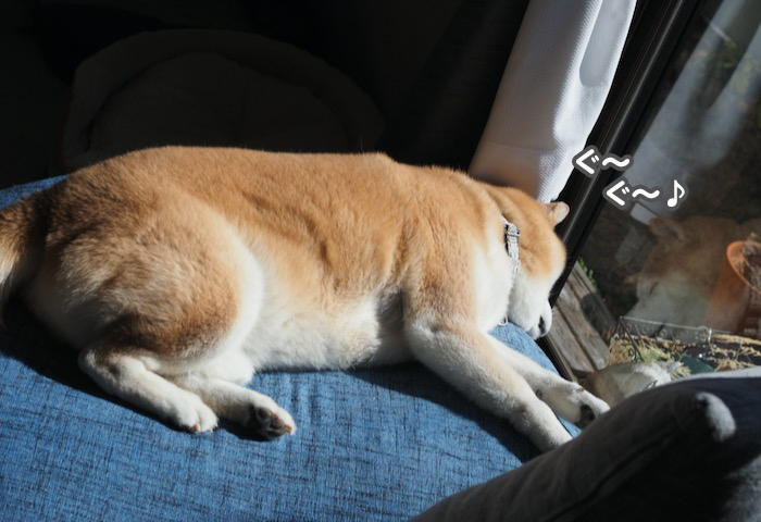 26日夕ブログ４