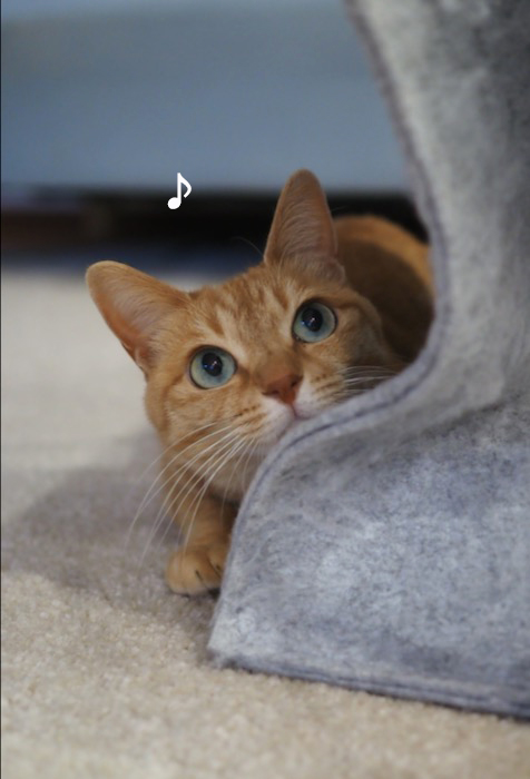 11日夕ブログ４