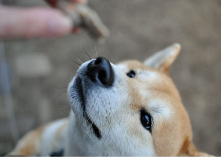 25日ブログ6.jpg
