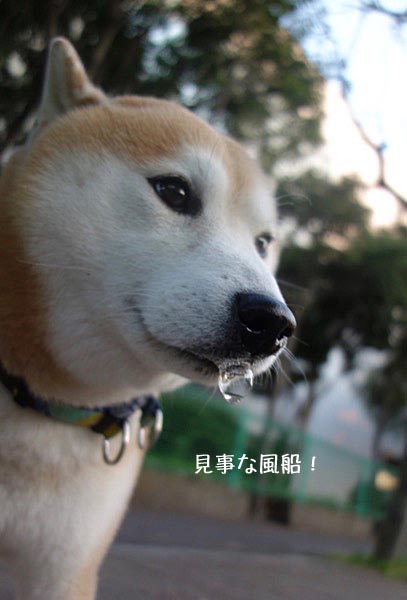 27日ブログ5