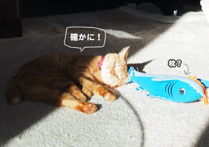 15日夜ブログ６