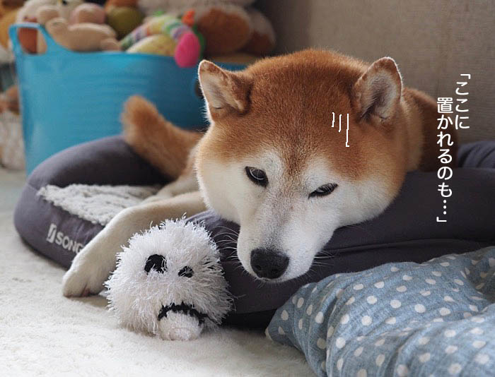 8日夜ブログ５