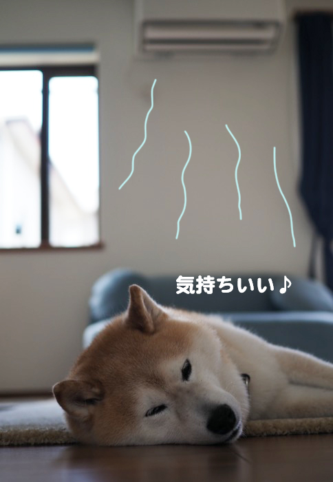 26日ブログ２
