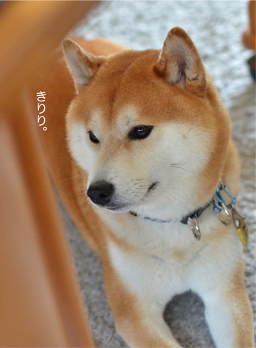 27日ブログ6.jpg