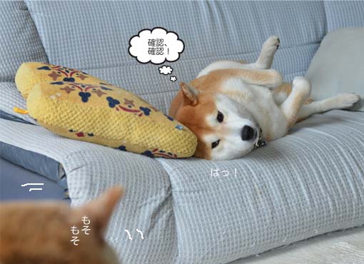 23日ブログ8.jpg