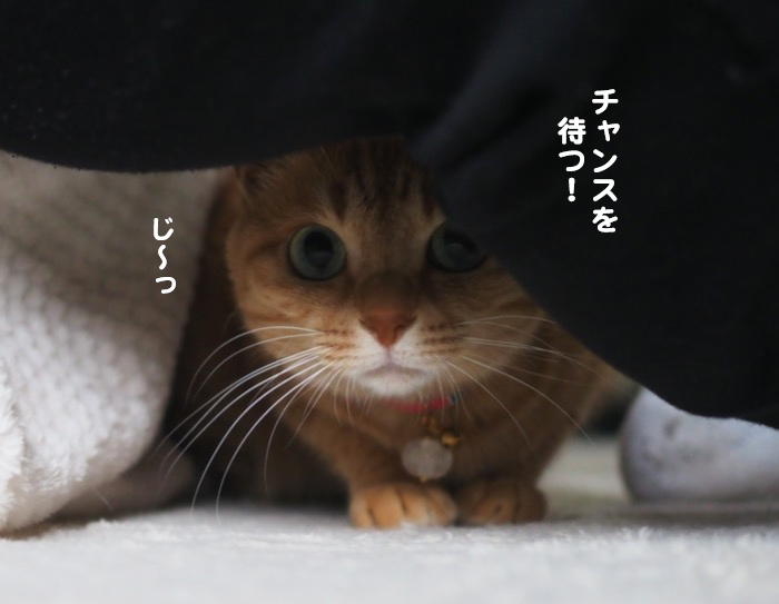 20日夕ブログ５