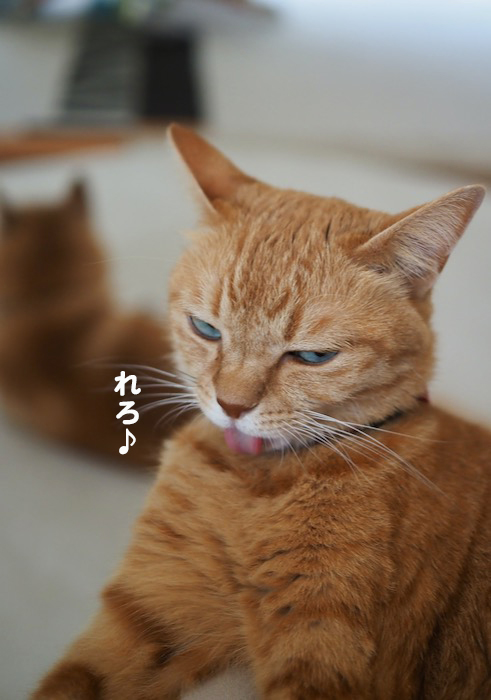 22日夕ブログ2