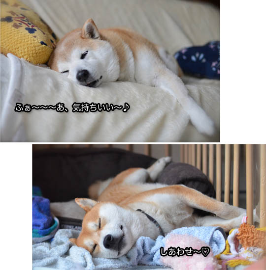 18日ブログ9.jpg