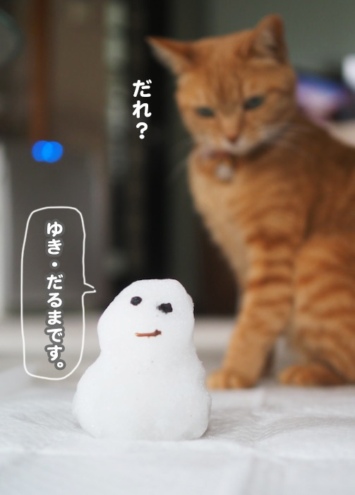 6日夕ブログ４