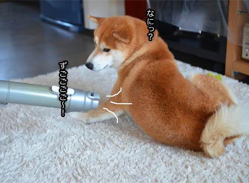 29日ブログ3.jpg