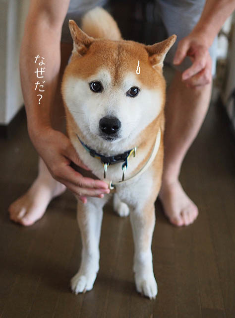 20日ブログ９