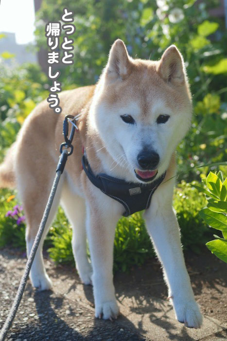 19日ブログ３
