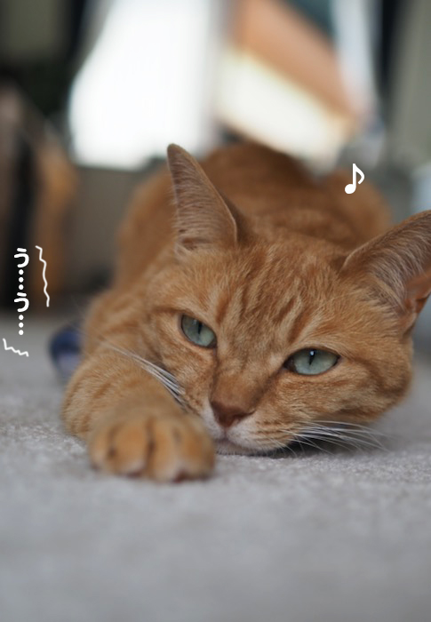 7日夕ブログ６