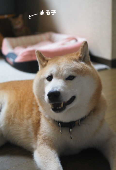 19日ブログ１