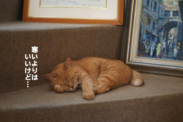 26日夕ブログ５