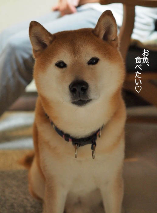 2日午後ブログ４