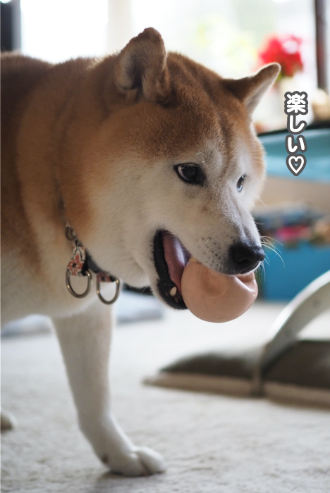 8日夜ブログ７
