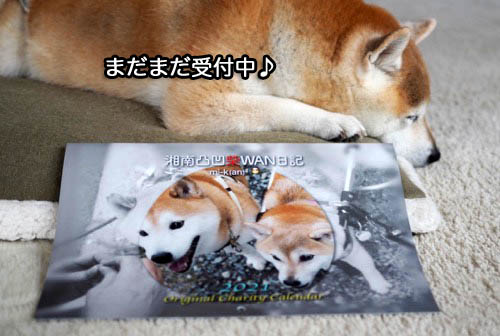 3日午後ブログ６
