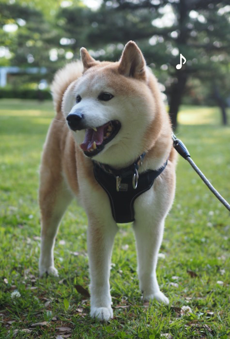 10日ブログ３