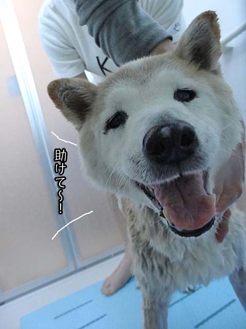12日ブログ6