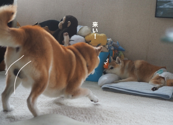25日ブログ３