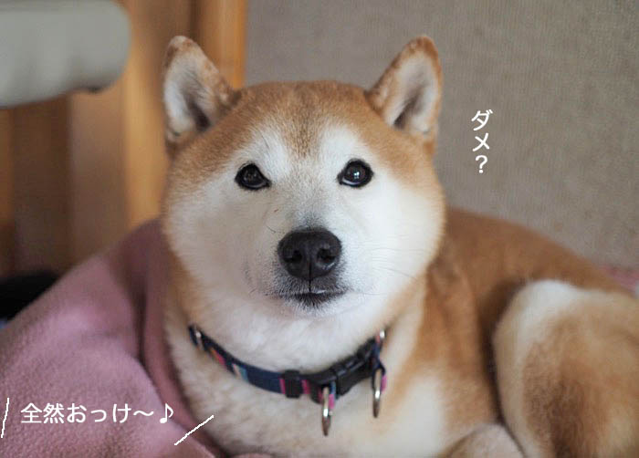 6日ブログ４