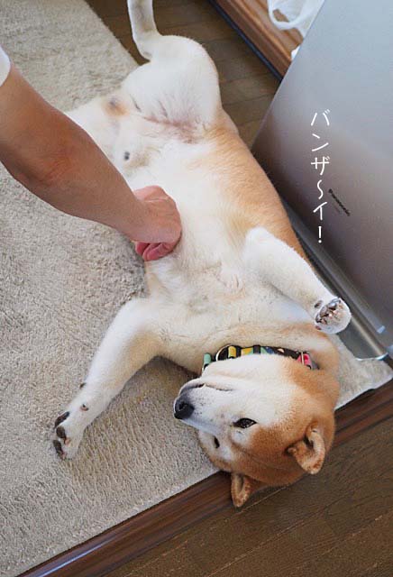 26日ブログ6