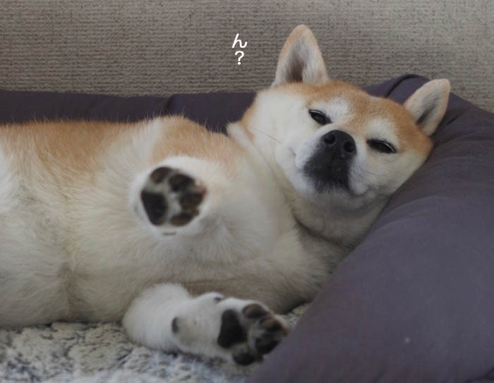 15日夜ブログ２