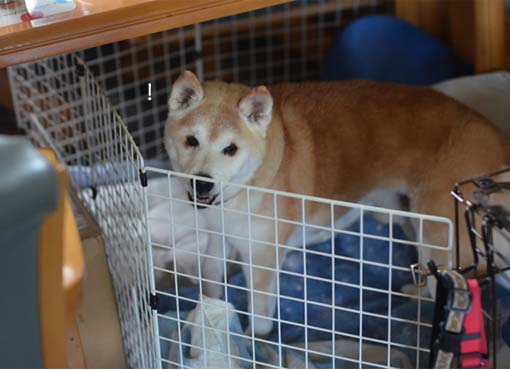 28日ブログ9.jpg
