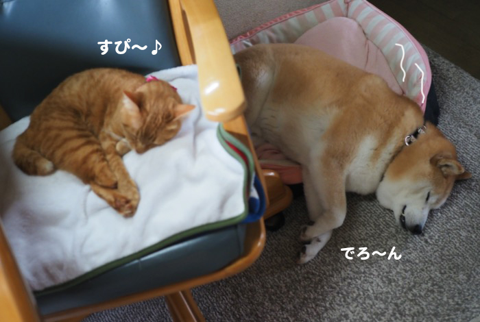 18日夕ブログ8